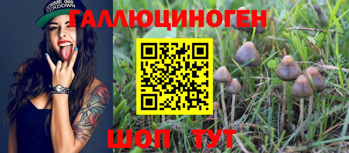Кострома  Галлюциногенные грибы мицелий  Галлюциногенные грибы Psilocybe  Вход с VPN 