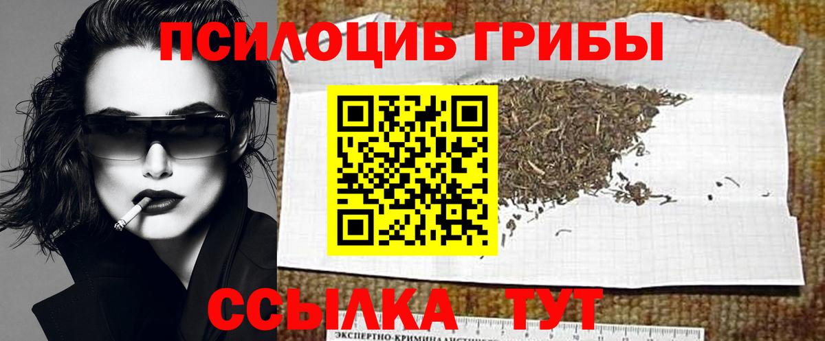 Псилоцибиновые грибы Psilocybine cubensis Кострома